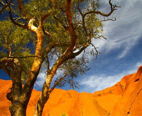 The Artery Aboriginal Art - Find Attractions 2