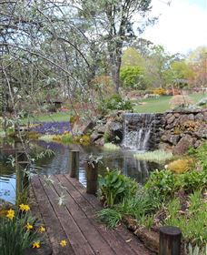 TCP Day Tours - Find Attractions 4