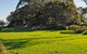 Clark Island - thumb 1