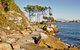 Clark Island - thumb 0