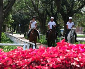 Centennial Parklands Horse Ride - Find Attractions 1