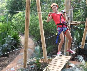 Urban Jungle Adventure Park Sydney City