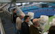 ANZ Stadium - thumb 2