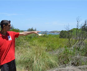 Kadoo Tours Sydney City