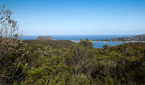 Aboriginal Heritage Walk - Find Attractions 1