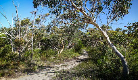 Aboriginal Heritage Walk - Find Attractions 2