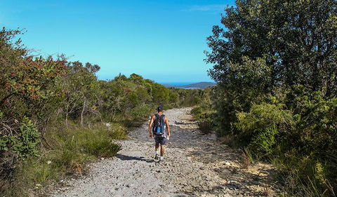 Aboriginal Heritage Walk - Find Attractions 3