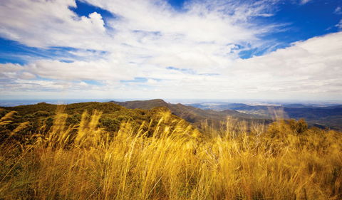 Muogamarra Nature Reserve - Find Attractions 0