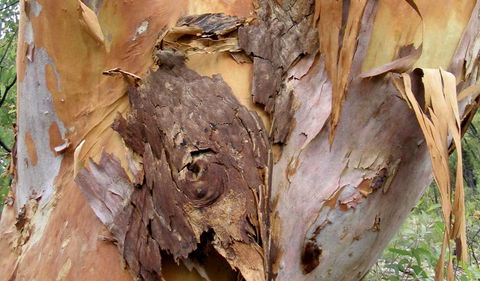 Muogamarra Nature Reserve - Find Attractions 2