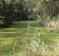Second Ponds Creek walk - Find Attractions