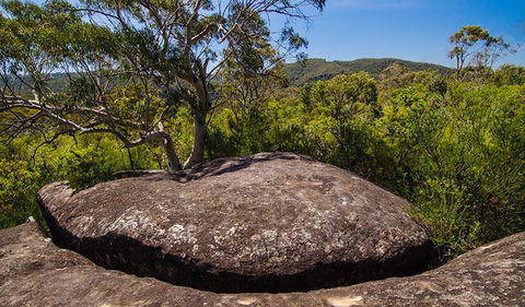 Marramarra Ridge To Smugglers Ridge Walking Track - Find Attractions 0