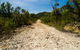 Marramarra Ridge To Smugglers Ridge Walking Track - thumb 1
