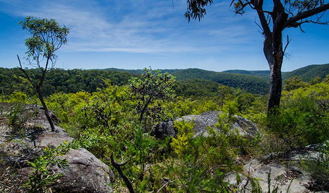 Marramarra Ridge To Smugglers Ridge Walking Track - Find Attractions 3