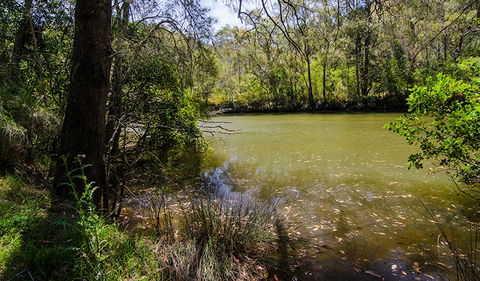 Marramarra Ridge To Smugglers Ridge Walking Track - Find Attractions 2