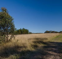 Scheyville horse riding trails - Find Attractions