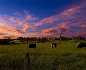 Made in Macarthur Food and Wine Tours Sydney City