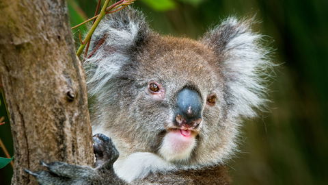 Brisbane Water National Park - Find Attractions 2