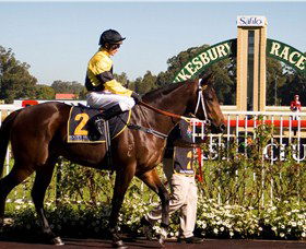 Hawkesbury Race Club - Find Attractions 2