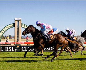 Hawkesbury Race Club - Find Attractions 1