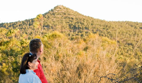 Piles Creek Loop - Find Attractions 0