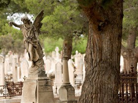 West Terrace Cemetery Adelaide City