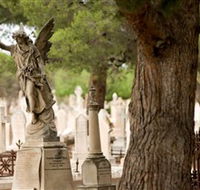 West Terrace Cemetery - Find Attractions
