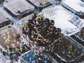 Adelaide Farmers' Market Showground - Find Attractions 1