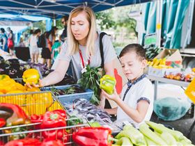 Adelaide Farmers' Market Showground Wayville