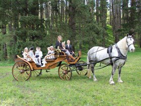 Classic Carriage Drives Montacute