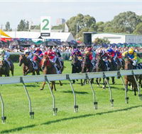 Morphettville Racecourse - Find Attractions