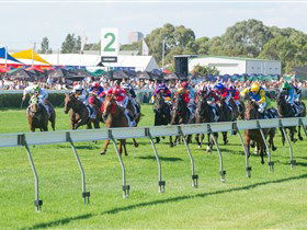Morphettville Racecourse - Find Attractions 0