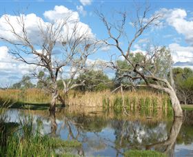 Lagoon Creek - Find Attractions 0