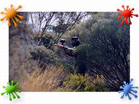 Paintball Skirmish SA - Find Attractions 2