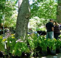 The Stirling Market - Find Attractions