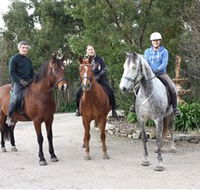 Academy of Dressage - Find Attractions