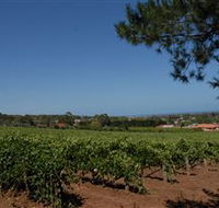 Grancari - Find Attractions
