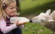 Hahndorf Farm Barn - thumb 0