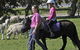 Hahndorf Farm Barn - thumb 2