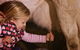 Hahndorf Farm Barn - thumb 1