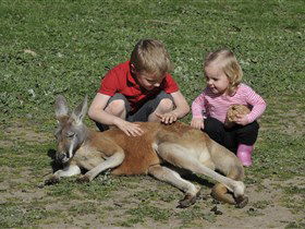Hahndorf Farm Barn - Find Attractions 3