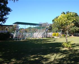Blackall Saleyards - Find Attractions 1