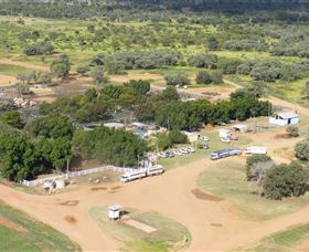 Blackall Saleyards - Find Attractions 0