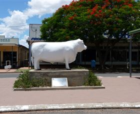 Aramac - The White Bull Aramac