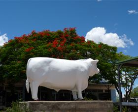 Aramac - The White Bull - Find Attractions 1