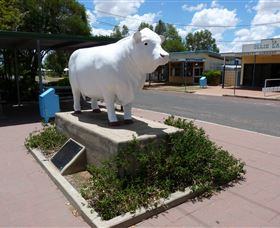 Aramac - The White Bull - Find Attractions 2