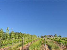 McLaren Vale III Associates - Find Attractions 3