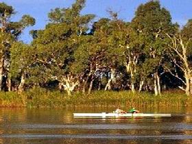 Martin Bend Reserve - Find Attractions 0