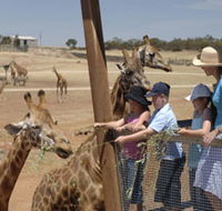 Monarto Open Range Zoo - Find Attractions