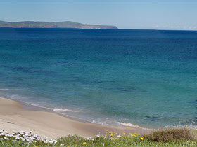 Carrickalinga Beach - Find Attractions 1
