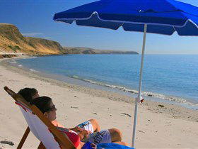 Lady Bay Beach - Find Attractions 0